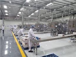 هنجر مصنع البان الصفا